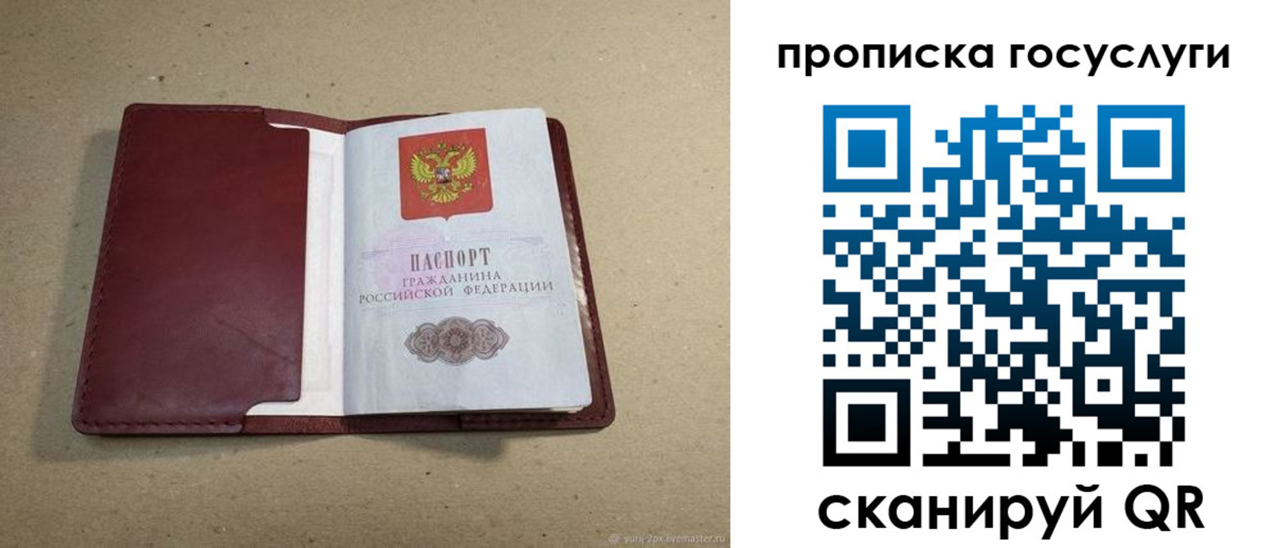 прописка поиск в Жуковке